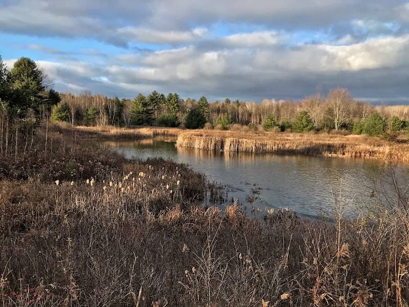 Little Otter Creek Wildlife Management Area - Image 1