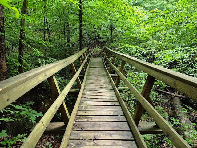 Mountain Island Park At Mount Holly Trail - Image 2