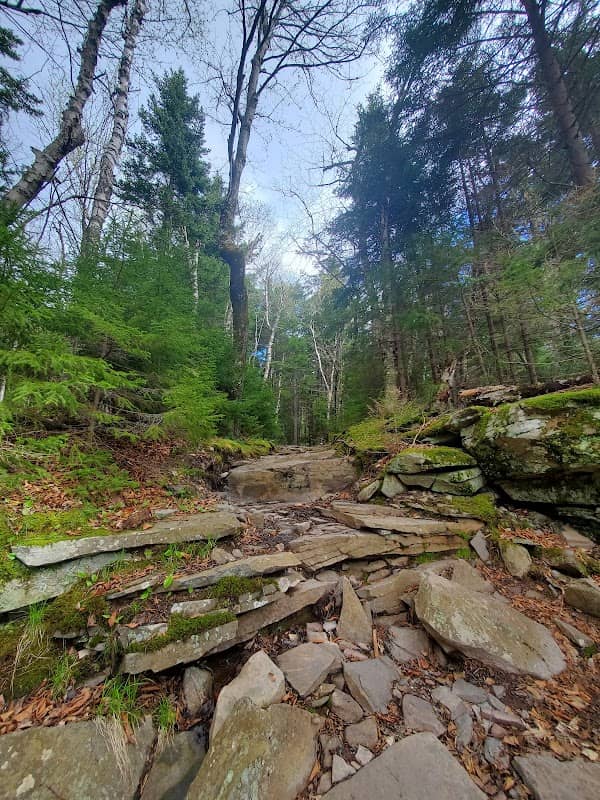 North Point - Image 1
