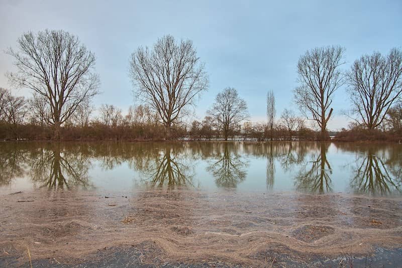 "Fretter Loch" - Image 1