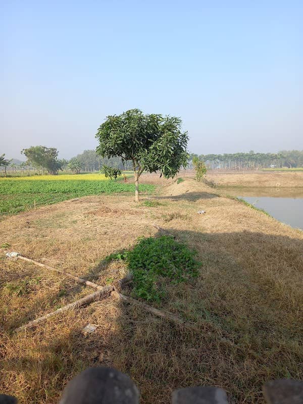 Place of peace - Image 2