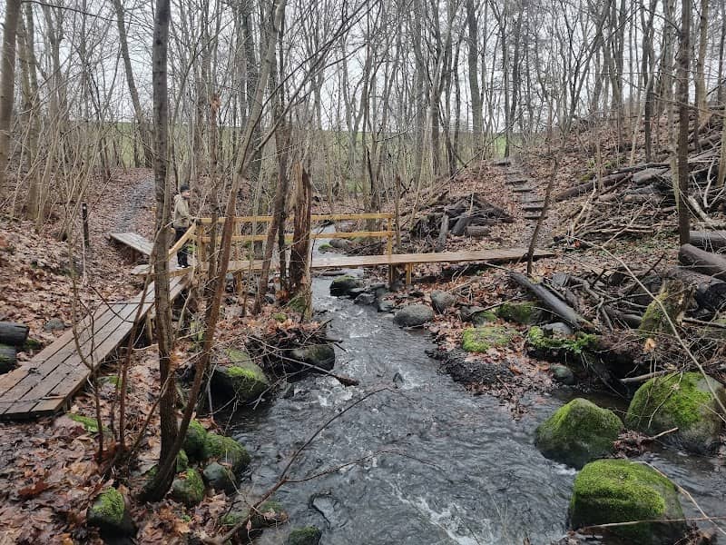 Birdsong Valley - Image 1