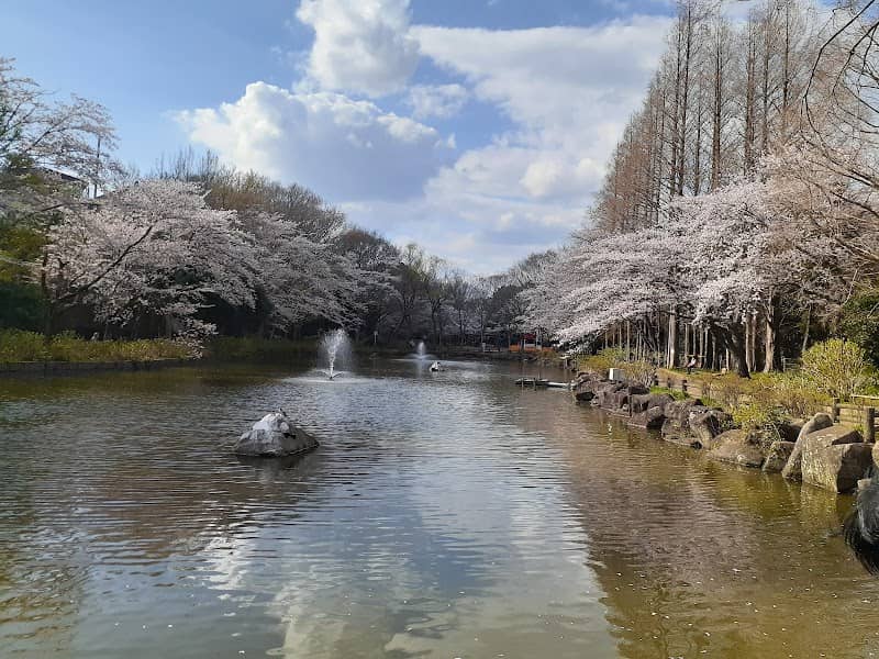 Kaigarayama Park - Image 2
