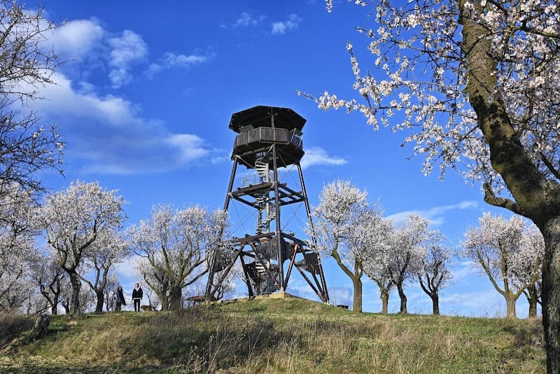 lookout Hustopeče - Image 2