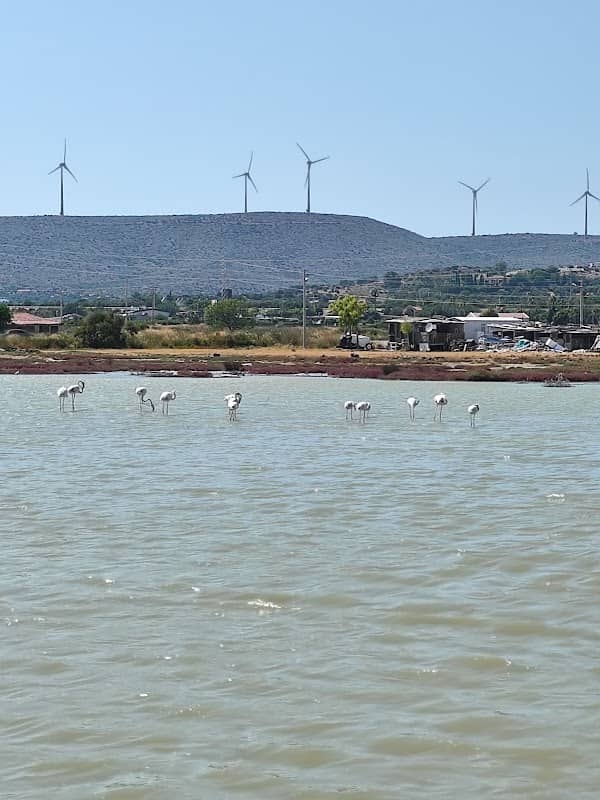 Alaçatı Sulak Alanı - Image 2