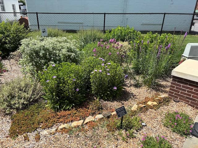 Main Street Park - Image 2