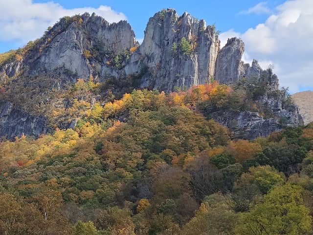 Monongahela National Forest - Image 2