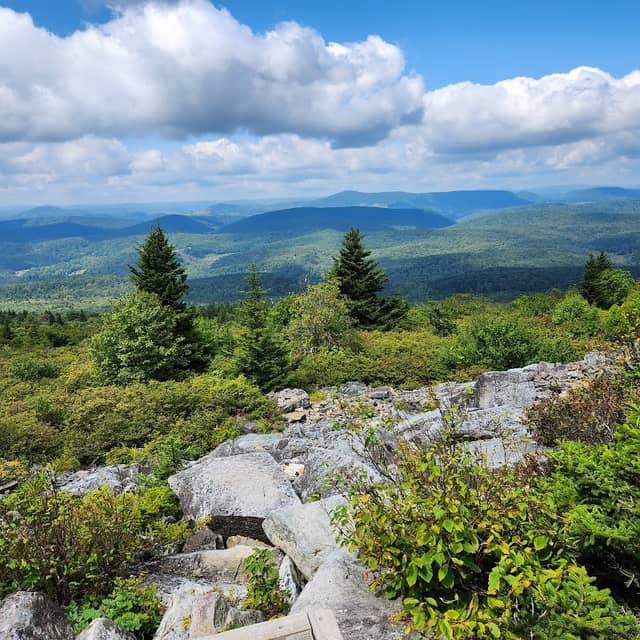 Monongahela National Forest - Image 3