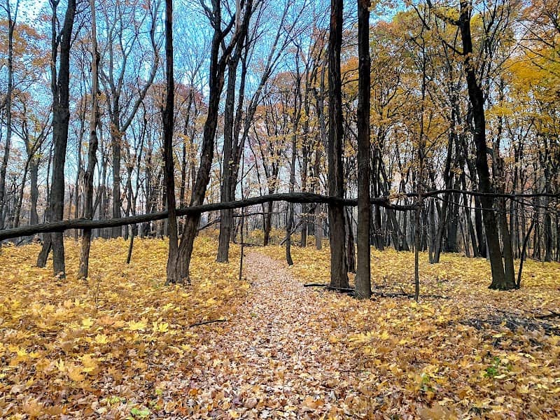 Maple Grove Forest Preservation Area B - Image 1