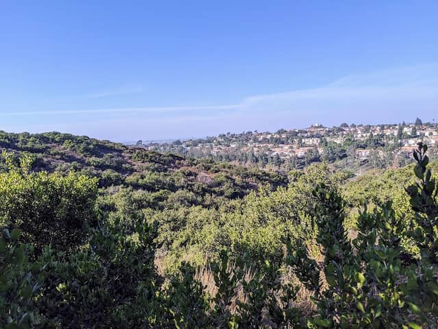 Gayle L. McCandliss Park - Image 1