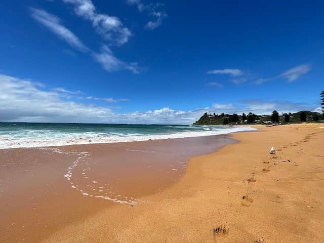 Bert Payne Park - Image 2