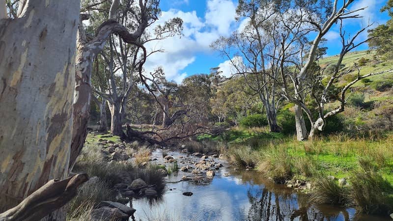 Garnet Kelly Reserve - Image 1