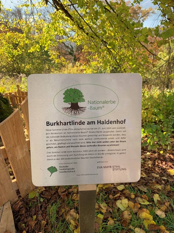 Burkhart-Linde - Image 2