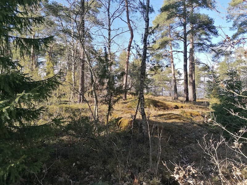 Furuberginpuisto - Image 1