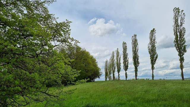 Pappelallee See-Hegnabrunn - Image 1