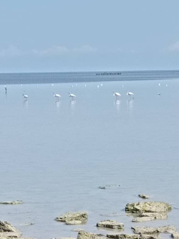 Baie pecheurs - Image 1