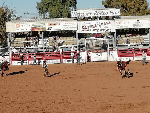 Cattle Call Arena - Image 1