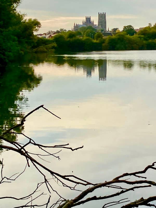 ely wildspace - Image 2