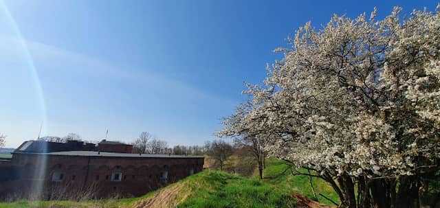 Fort XVII Křelov - Image 1