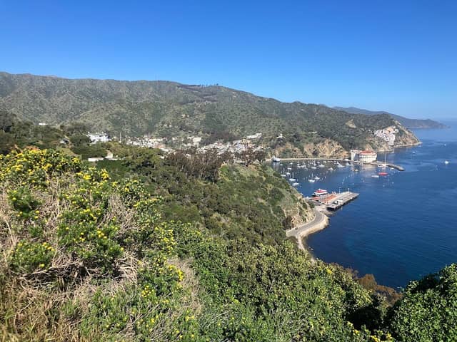 Avalon Bay View from clock Tower - Image 1