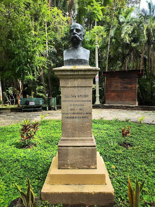 Gustavo Knoop ~ Los Coquitos Park - Image 1