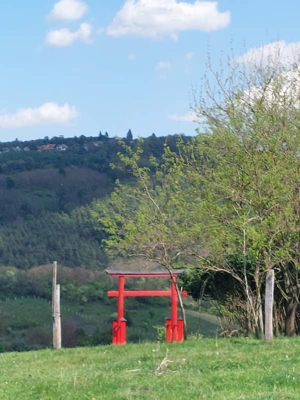 Torii kapu - Image 1