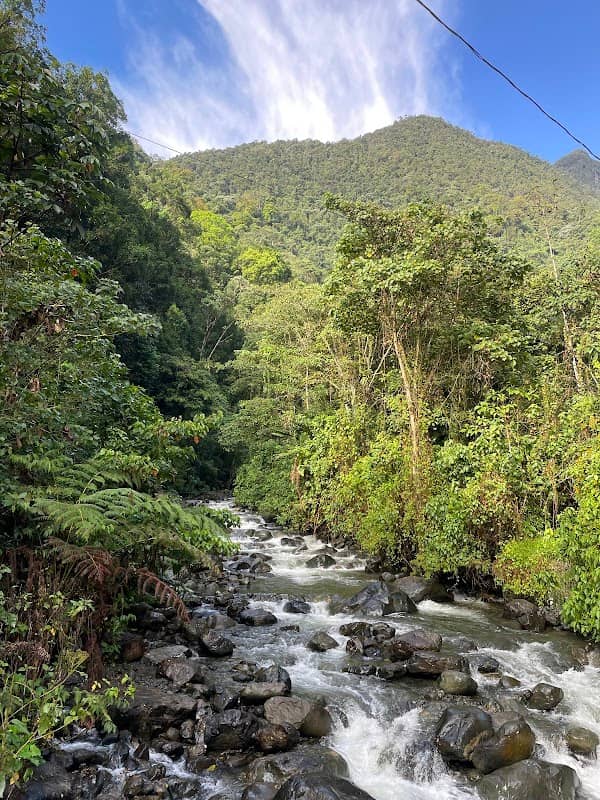Fundación Farallones - Reserva Natural Bachue - Image 1