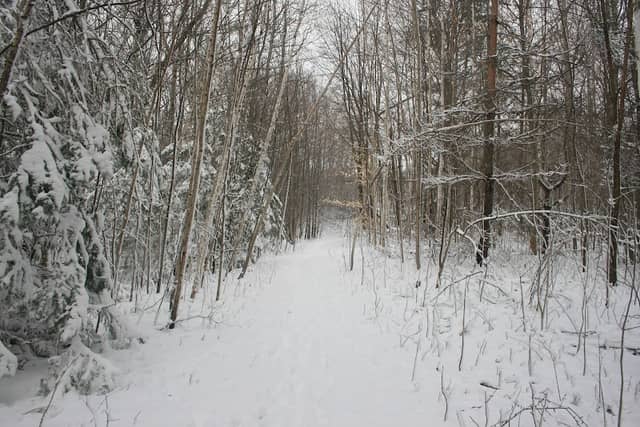 Simmons Nature Preserve - Image 1