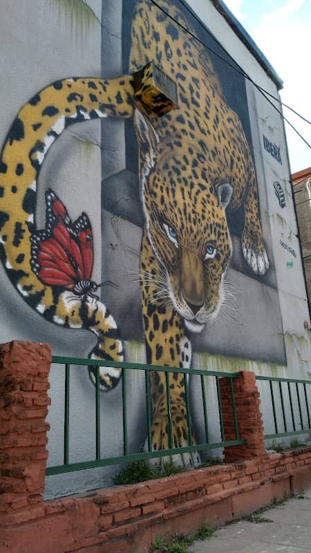 Pintura Mural Yaguareté - Image 1