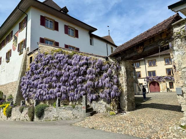 Park Schloss Erlach - Image 2