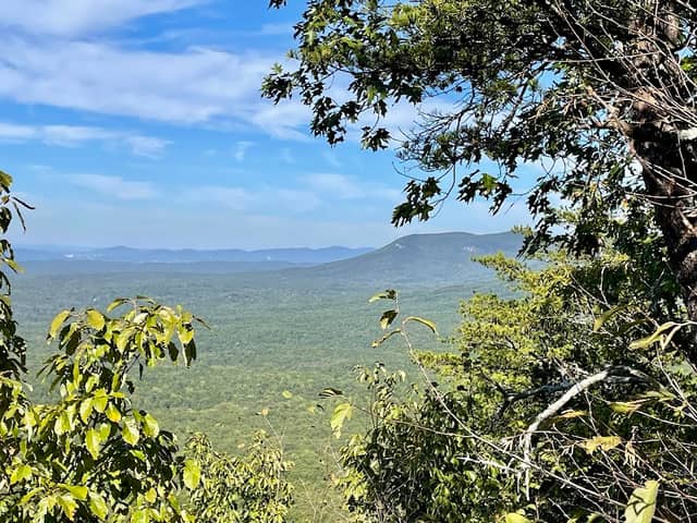 Cheaha Wilderness - Image 3