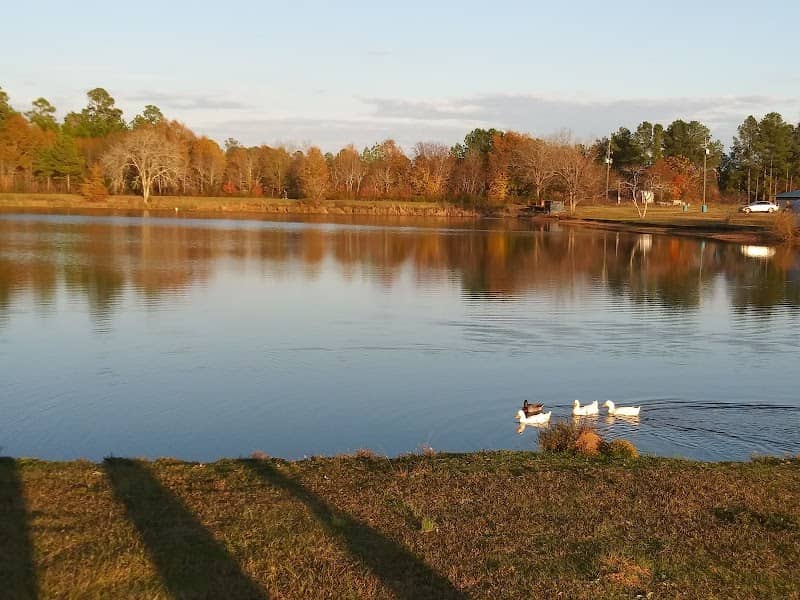 Walter B. Williams Park - Image 2