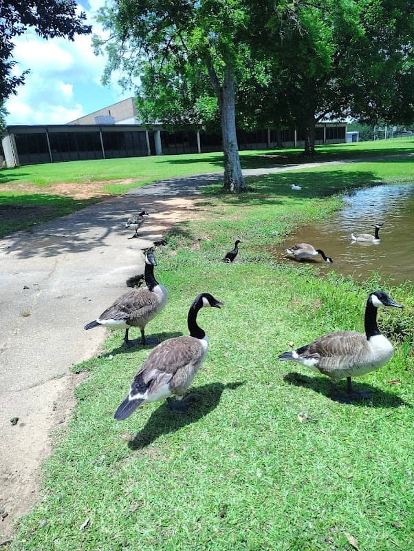 Walter B. Williams Park - Image 1