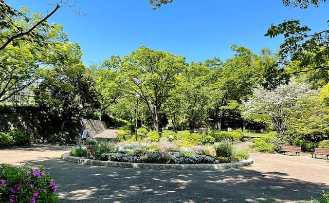 Tsurukawa Central Park - Image 2