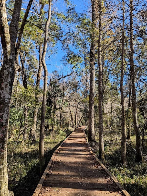 Goethe State Forest - Image 1
