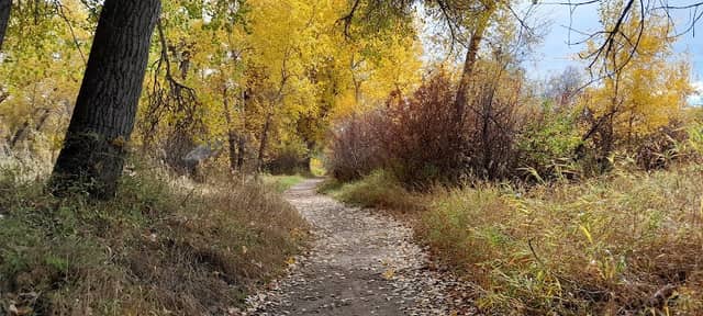 Norm Schoenthal Island access/parking lot - Image 1