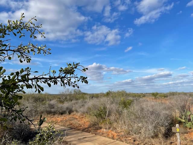 Chaparral Wildlife Management Area - Image 2