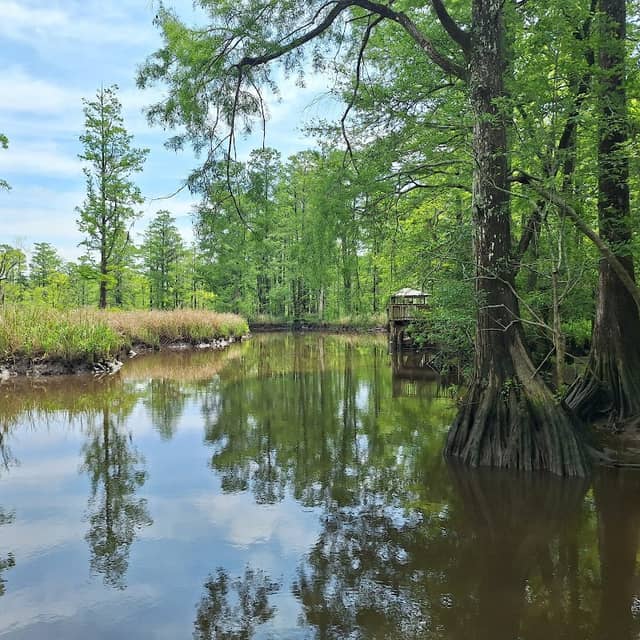 Davis Creek Park - Image 2
