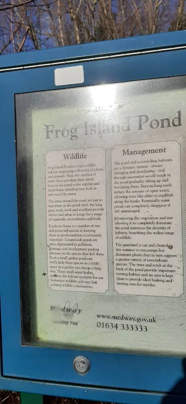 Frog Island Pond - Image 2