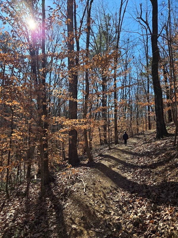 Laurel Loop Trail - Image 2