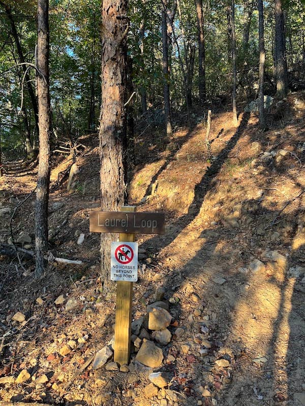 Laurel Loop Trail - Image 1