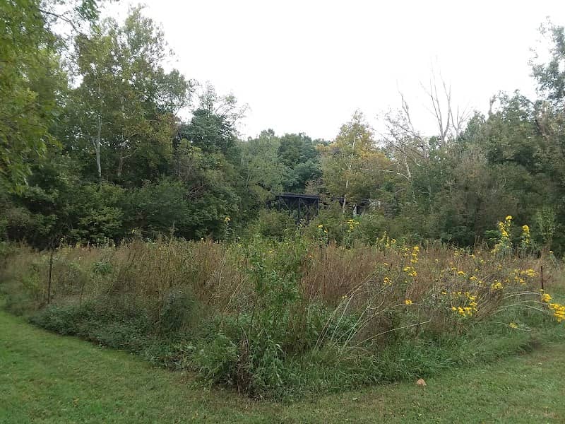 Nature Garden - Image 3