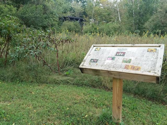 Nature Garden - Image 1