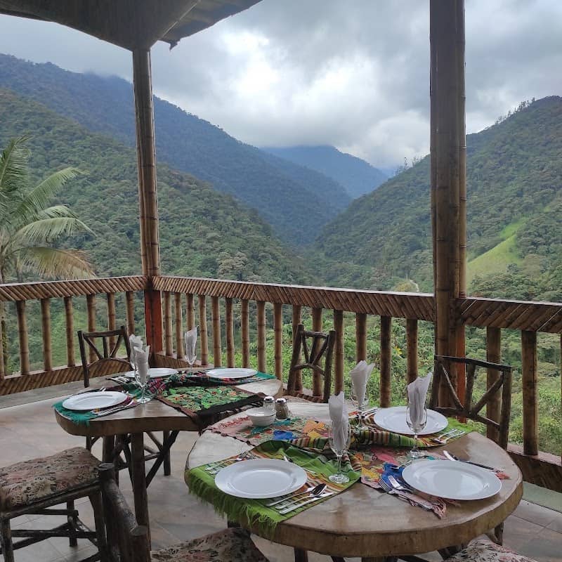 San Jorge Eco-lodge Tandayapa - Hummingbird Sanctuary - Image 2