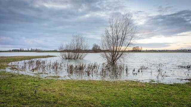 Teugse plas - Image 3