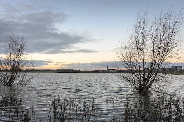 Teugse plas - Image 2