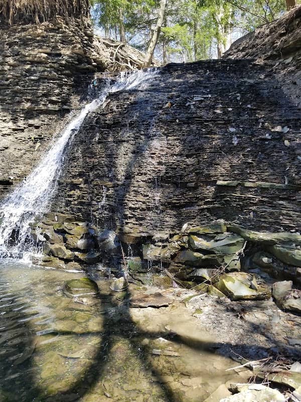 Rear Quarry Reservation Picnic Area - Image 2