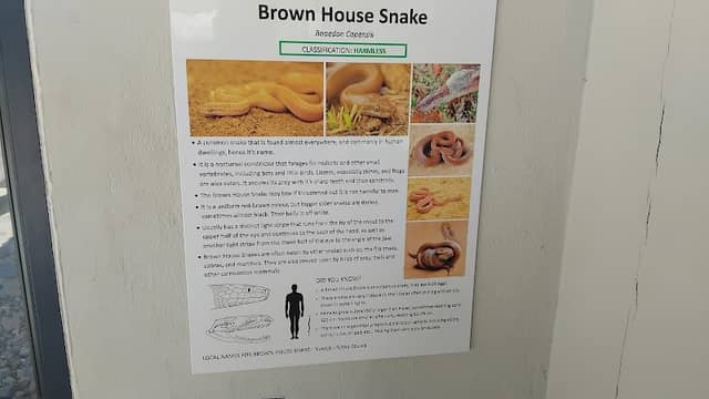 Snake House🐍 - Image 1