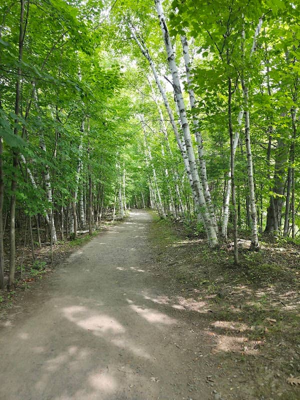 Mont-Saint-Bruno National Park - Image 2