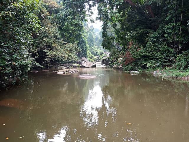 Dam - Image 1
